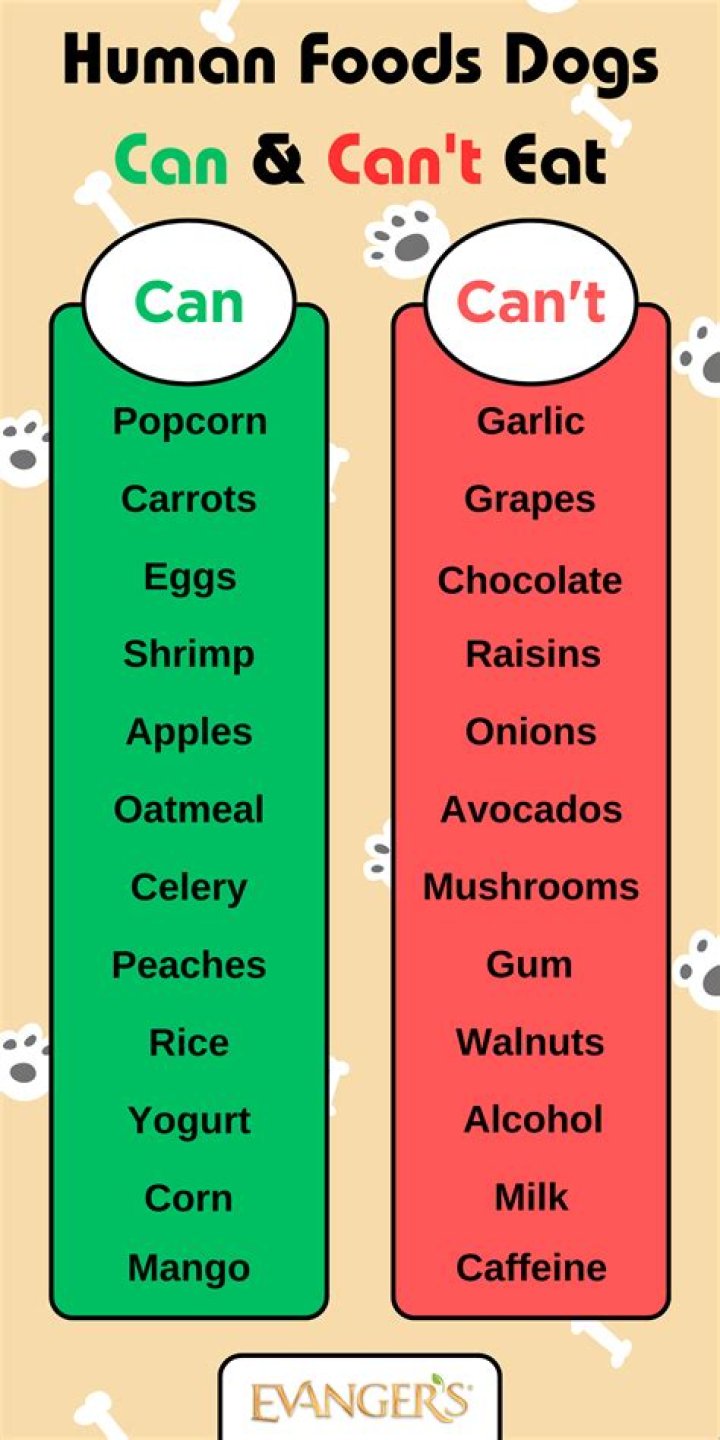 What kind of fern can you eat