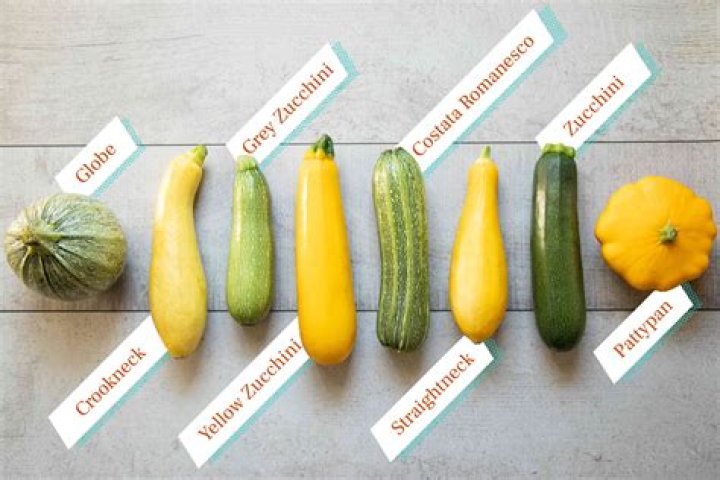 What kind of squash do I have